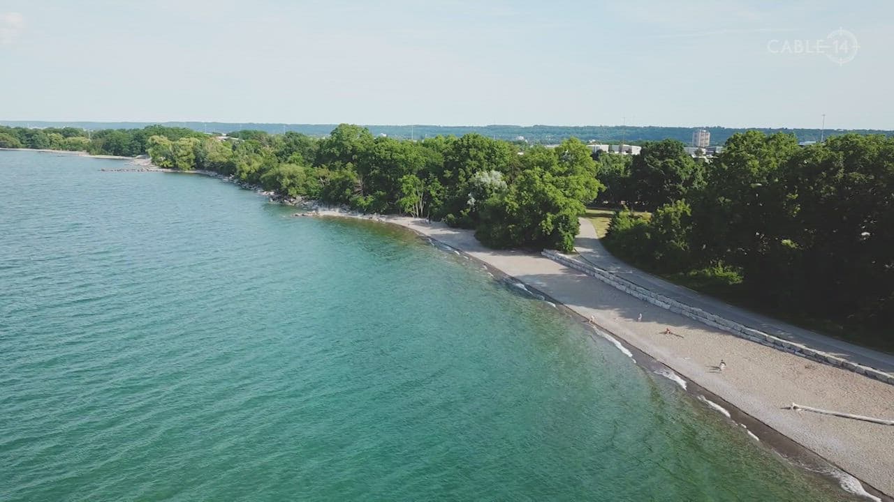 Flying Moe-ment - Lakeshore